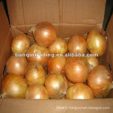 Yellow Onion 2012 Crop